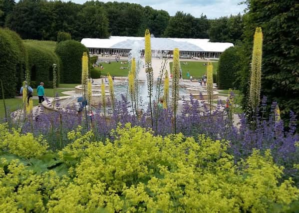 The view in Alnwick Garden shows Lady`s Bedstraw, Catmint and Foxtail Lilies.