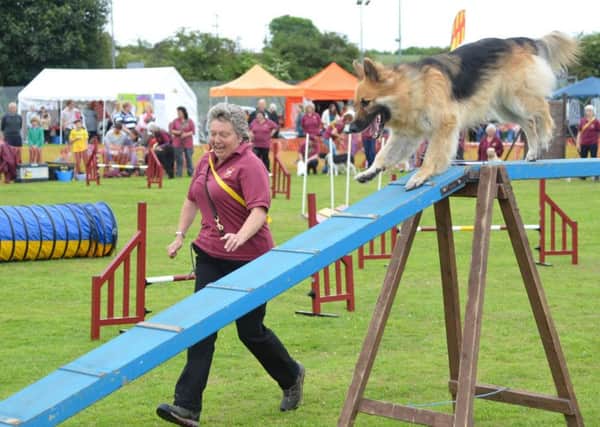 The North Northumberland Dog Training Club gave displays at Felton and Thirston Fair.