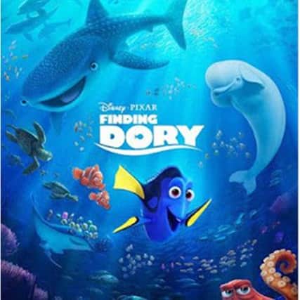 Finding Dory, the sequel to the smash-hit Finding Nemo is now showing at The Alnwick Playhouse. See below for more details.