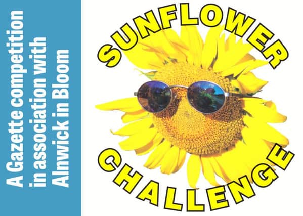 The Sunflower Challenge