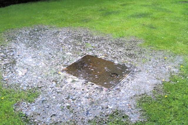 The sewage in the garden in July.