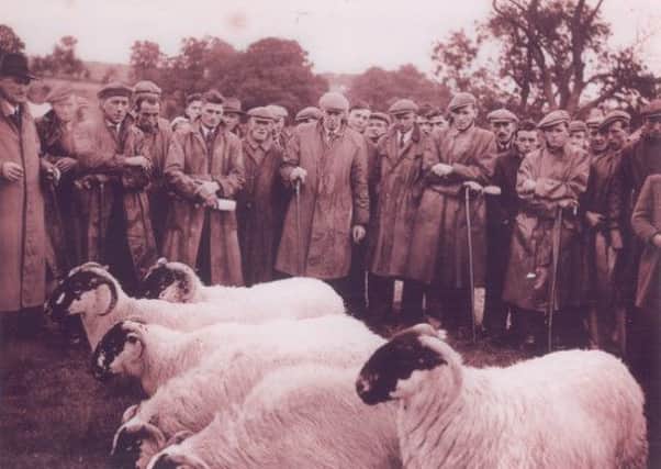 One of the photographs from the Sheep Tales archive.