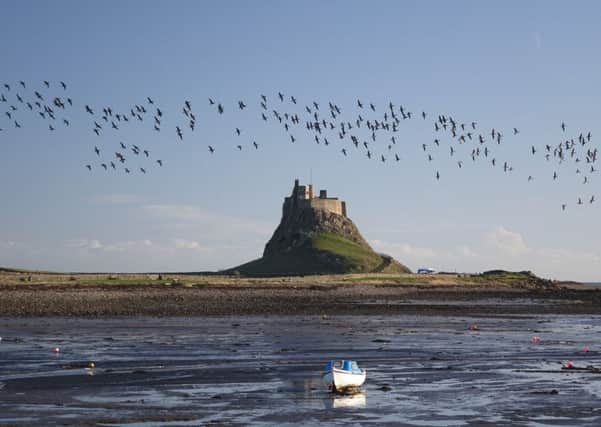 A view of Holy Island. Picture by Emma Seed