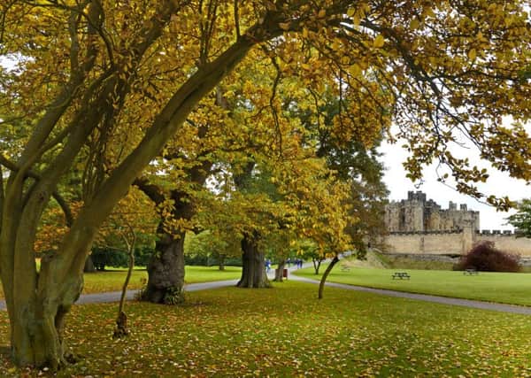 View of autumn leaves at Alnwick Castle.
Picture by Jane Coltman