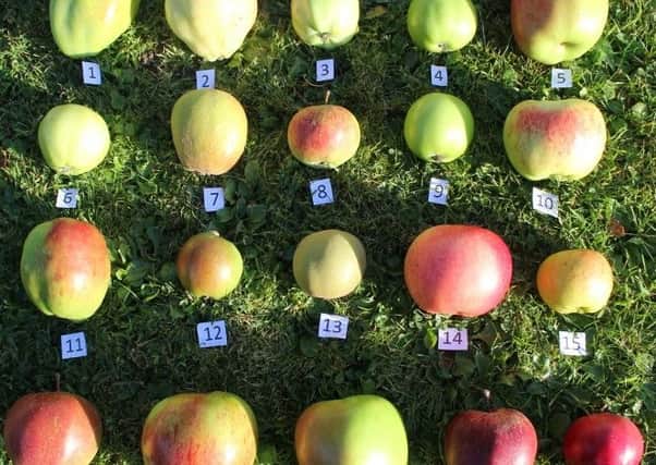 Do you know your heritage apple varieties?