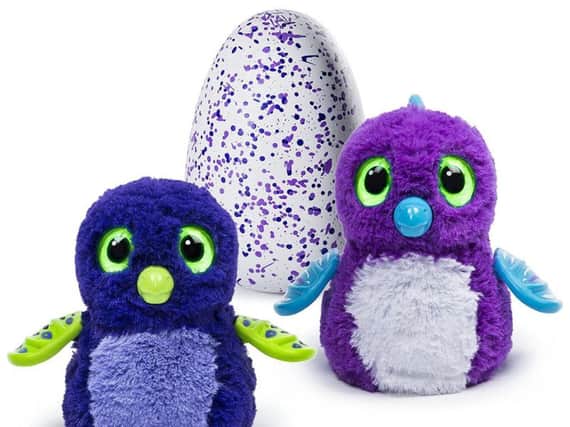 Hatchimals, the must-have toy this Christmas.