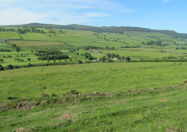 The site of the proposed homes to the south of Hillside West in Rothbury. Picture by Mary Scott