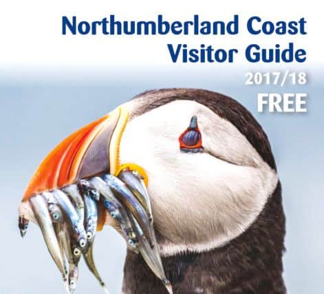 The front cover of next year's Visitor Guide.