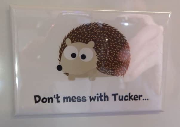 The fridge magnets produced in honour of Tucker.
