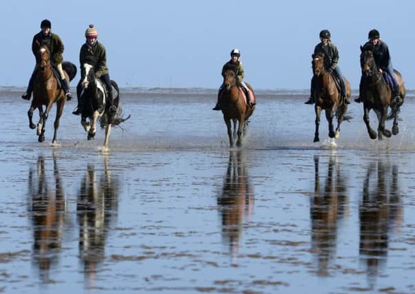 Horses from Kimmerston Riding Centre enjoy a gallop at Holy Island. Picture Jane Coltman