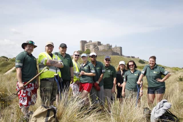 Volunteers from Environment Agency clearing the invasive pirri pirri bur from Bamburgh Dunes.