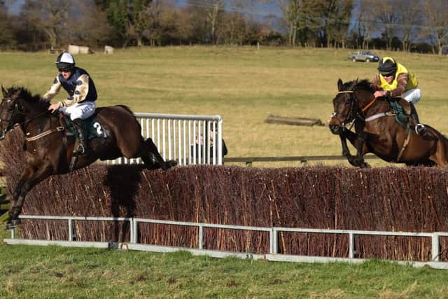 Action from the Point-to-Point. Picture by Grossick Racing Photography.