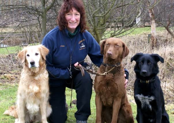Jacquie Hall, with some of her dogs.