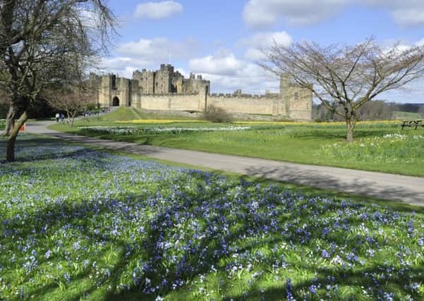 The beautiful display of spring flowers at Bowburn Park beside Alnwick Castle.
Picture Jane Coltman