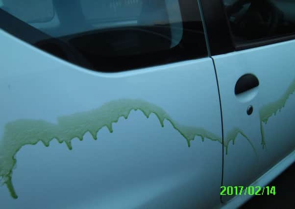 The substance poured over Eileen Williams' car.