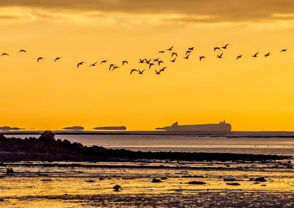 A stunning picture of the Farnes and a passing skein of geese, by Ivor Rackham.
