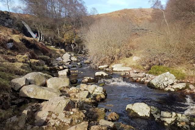 Valley Cottage Cafe - Looking upstream towards Linhope Spout.