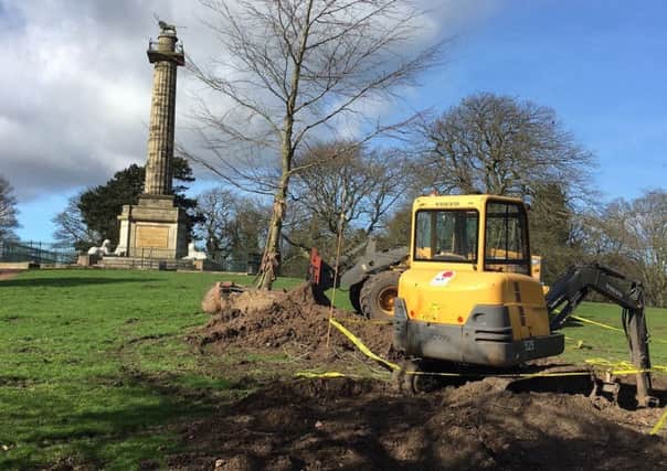 The memorial tree being replanted at Alnwick's Column Field.