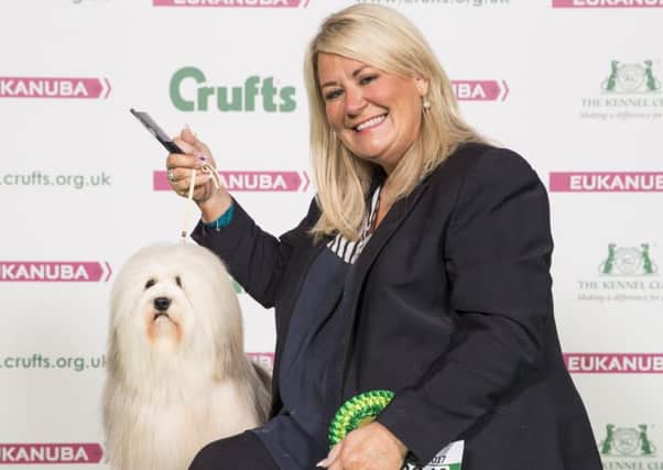 Joanne Graham and her Lowchen Jacob were among the winners at this years Crufts, which took place from March 9 to 12 at the NEC in Birmingham. Picture by onEdition.