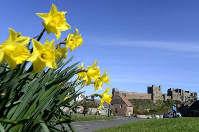 Bamburgh in the spring. Picture by Jane Coltman