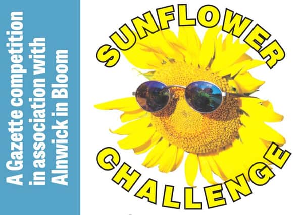 Join the 2017 Sunflower Challenge.