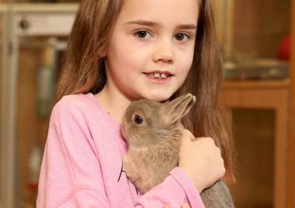 Alnwick's Pets at Home store will not be selling rabbits over the Easter weekend. Picture by Jason Lock Photography