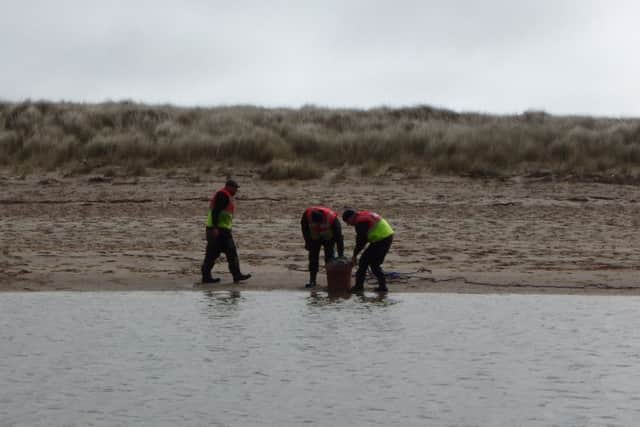 Fish survey at Long Nanny, Near Beadnell. Picture by NIFCA