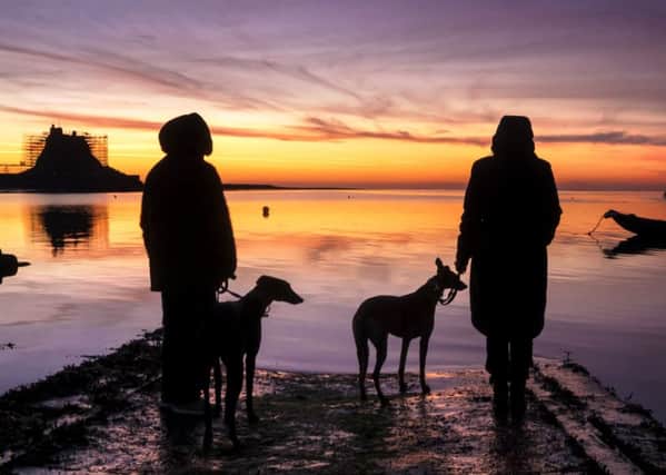 What a view - our photographer Jane Coltman took this image while watching the sun rise from Holy Island harbour looking across to Lindisfarne Castle. Even though it is currently enveloped in scaffolding it still makes and impressive sight.