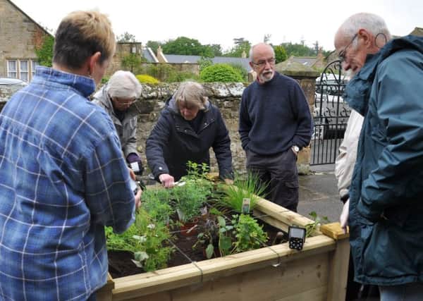 The raised planters being filled with sensory plants. 
 Picture by Carol Southam