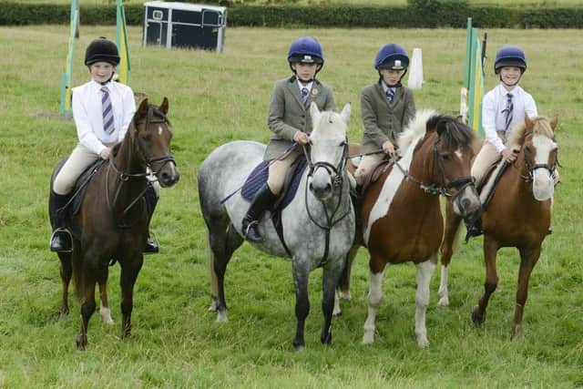 Glanton Show
 Some of the entrants in the pony sport classes.
 Picture by Jane Coltman