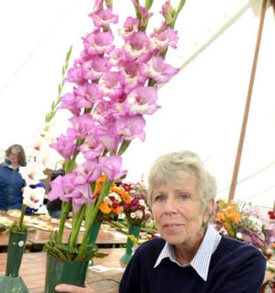 Glanton Show
 Claire Swanson was on winning form with her Gladioli
 Picture by Jane Coltman