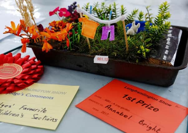 Longframlington Show 2017 - Annabel Bright won first place and a judges' favourite award for her mini garden. Picture by Margaret Whittaker