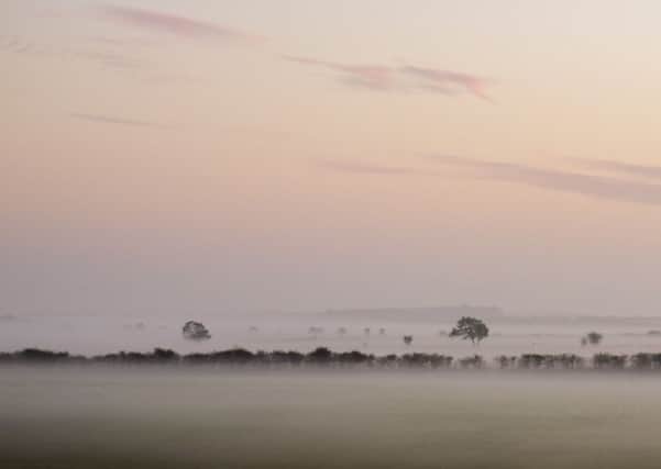 Misty fields by Ivor Rackham.