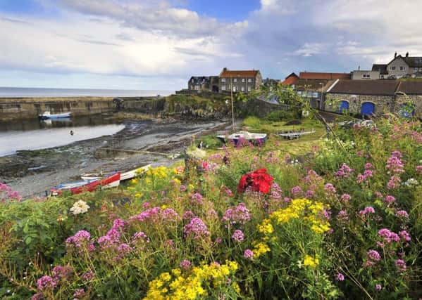 Craster. Picture by Jane Coltman