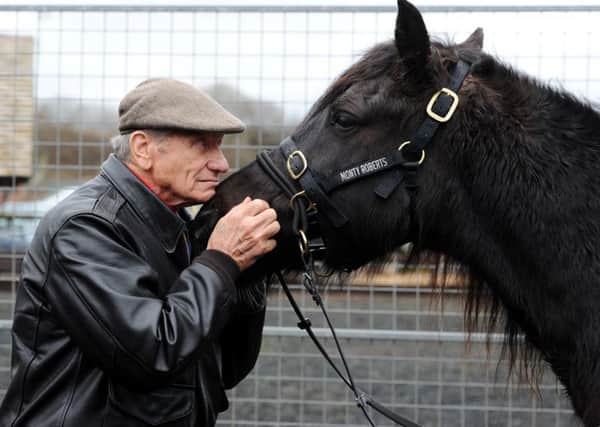 World famous horse whisperer Monty Roberts. Picture by Paul Heyes