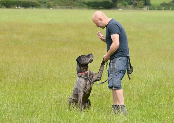 SHAKs Stephen Wylie with one of the dogs that the charity is caring for. Picture by Jane Coltman