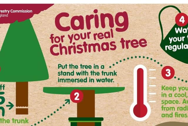 Tips for caring for your Christmas tree, by the Forestry Commission, Crown Copyright.