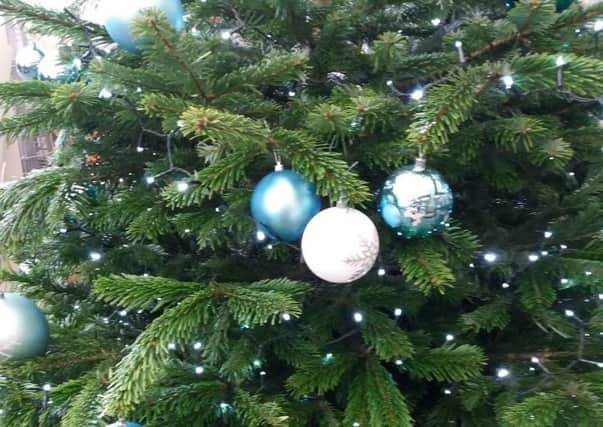 Which tree will you choose for your festive decorations? There are plenty of options these days. Picture by Tom Pattinson.