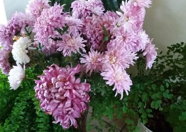 Chrysanthemums made a pleasant festive vase display. Picture by Tom Pattinson.