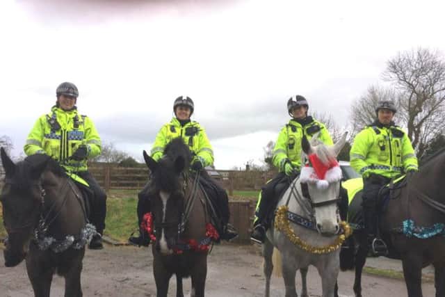 Police horses enjoy Christmas too.
