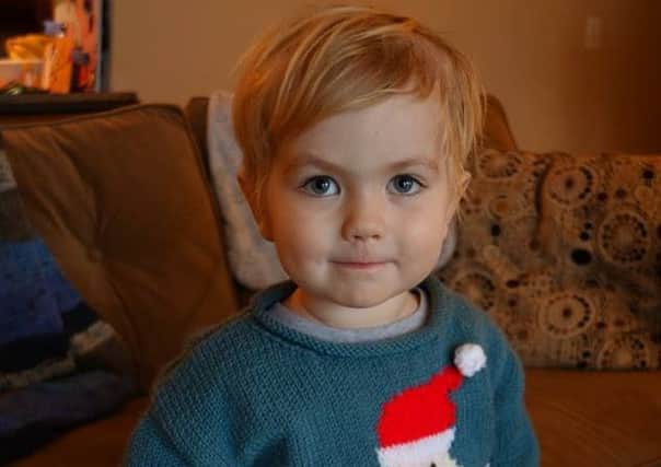 Bertie in his Christmas jumper.