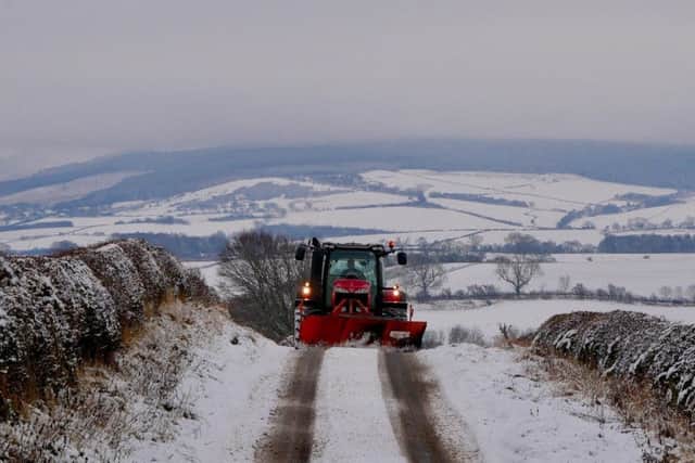 Road Cleared by David Tanner.