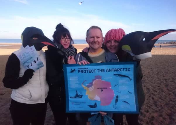 Members of Newcastle Greenpeace on Tynemouth beach to highlight the plight of Antarctic penguins.