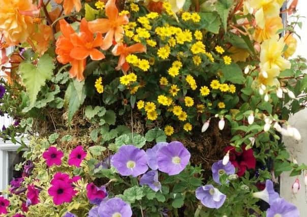 Organise your container plants now to prepare for beautiful blooms. Picture by Tom Pattinson.