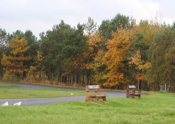 Stunning autumn colours at Druridge Bay Country Park. Picture by
 
Anne Hopper