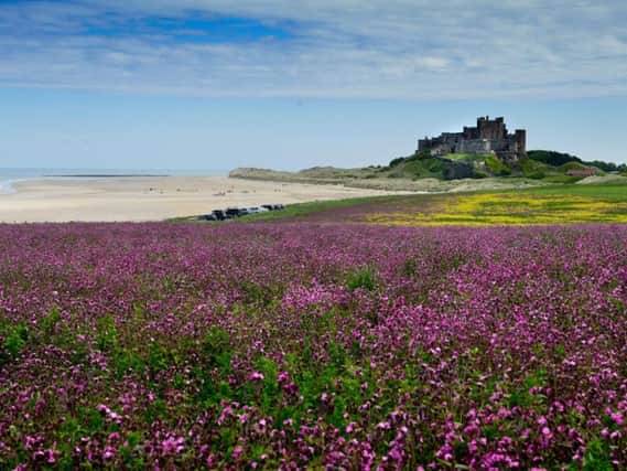 Bamburgh Castle and beach. Picture by Jane Coltman