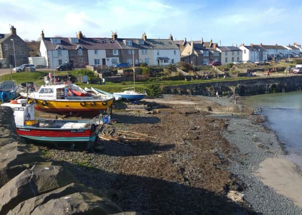 View of Craster. Picture by Jane Coltman