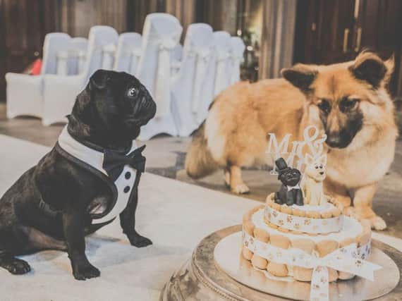 Ted and Roxy getting married. Picture by Sean Elliott Photography