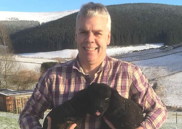 Vet and sheep farmer David Miskelly.