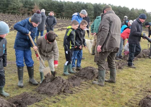 The first trees are planted at Doddington North Moor.